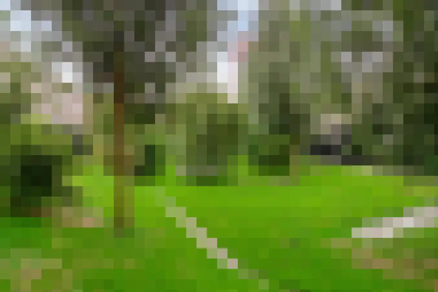 Schorsmolenstraat 47 Groningen thumbnail 43