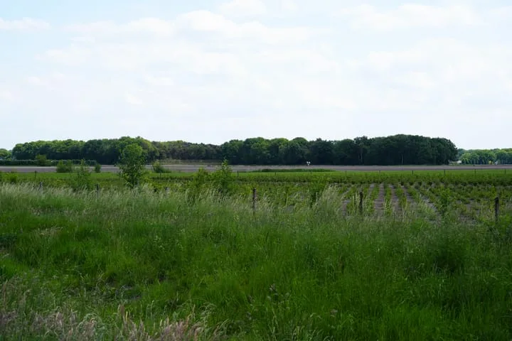 Schorsmolenstraat 7 Loon op Zand thumbnail 58