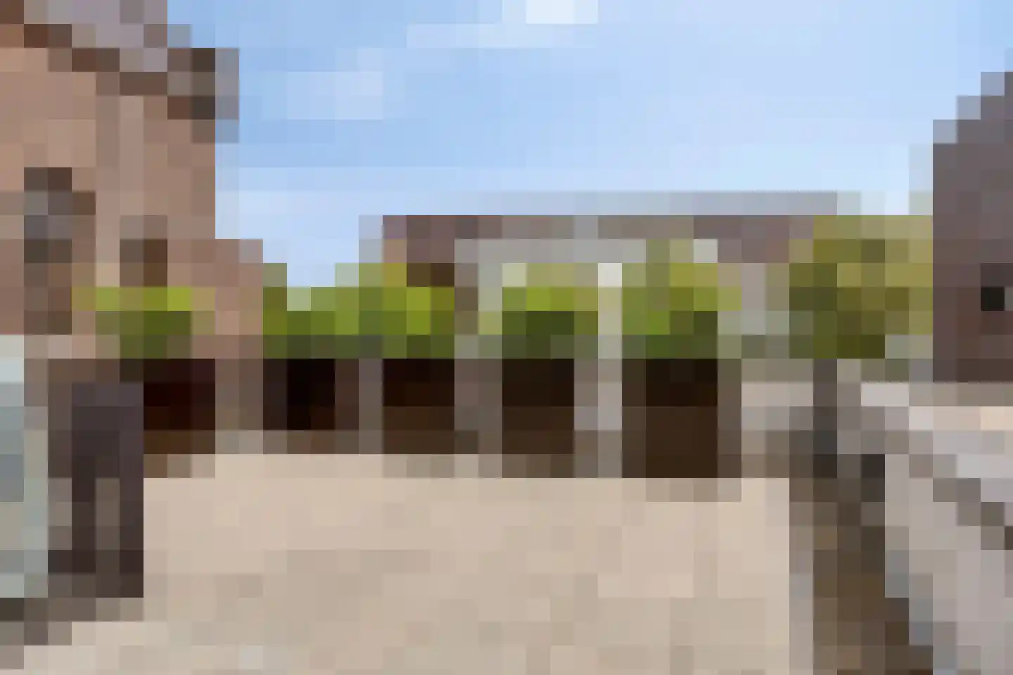 Schorsmolenstraat 9 A9 Breda thumbnail 18
