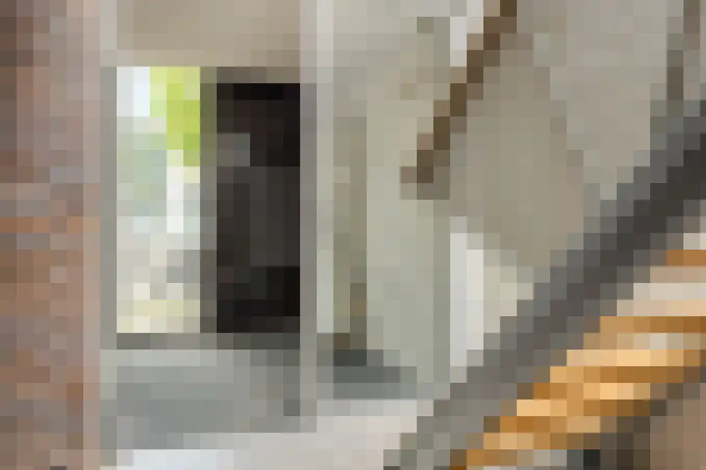 Schorsmolenstraat 9 A9 Breda thumbnail 27