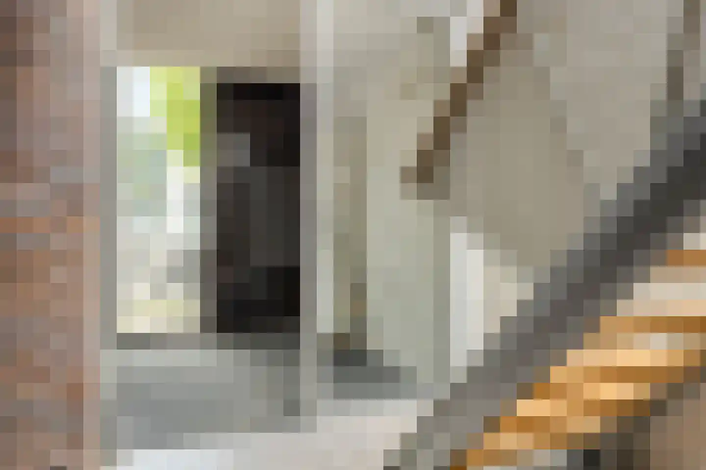 Schorsmolenstraat 9 A9 Breda thumbnail 29