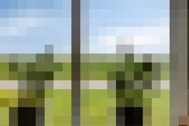 Schorweg 13 Breezand thumbnail 16