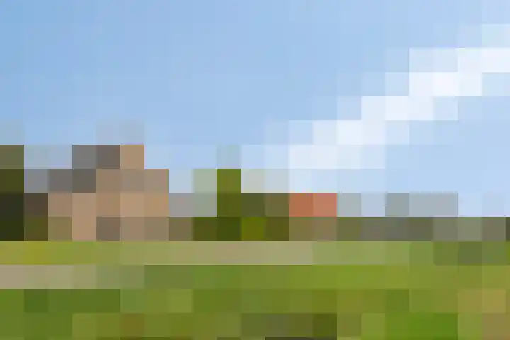 Schorweg 13 Breezand thumbnail 4