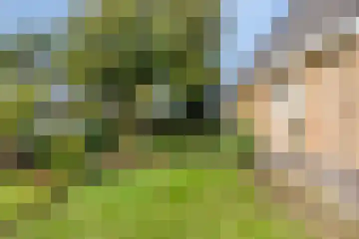 Schorweg 13 Breezand thumbnail 5