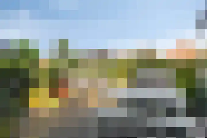 Schorweg 13 Breezand thumbnail 50