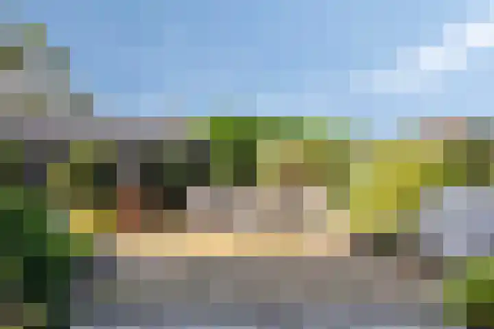 Schorweg 13 Breezand thumbnail 51