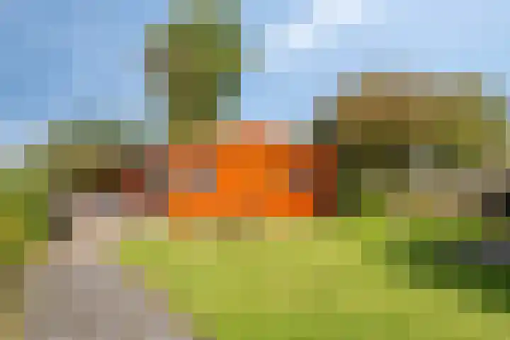 Schorweg 13 Breezand thumbnail 59