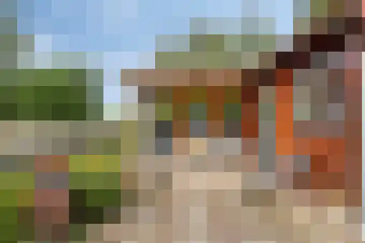 Schorweg 13 Breezand thumbnail 60