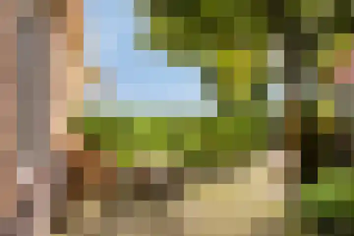 Schorweg 13 Breezand thumbnail 7