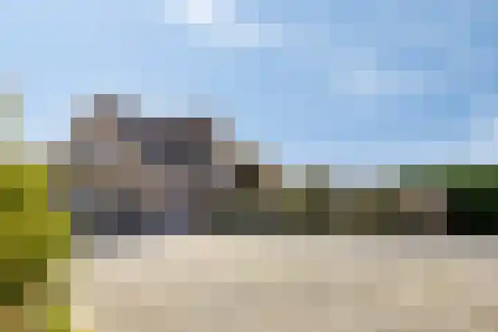 Schorweg 13 Breezand thumbnail 72