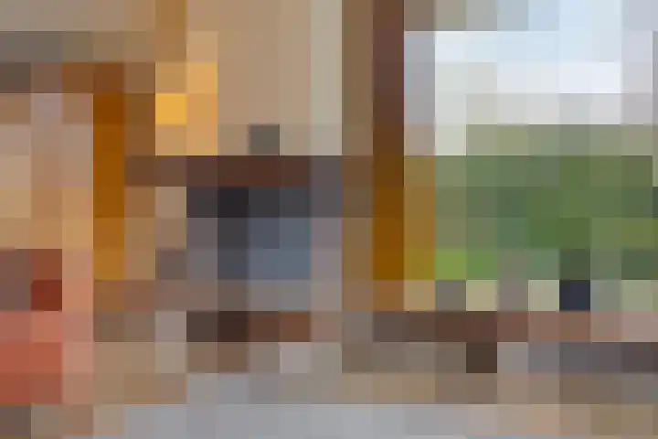 Schotakker 16 Epe thumbnail 12