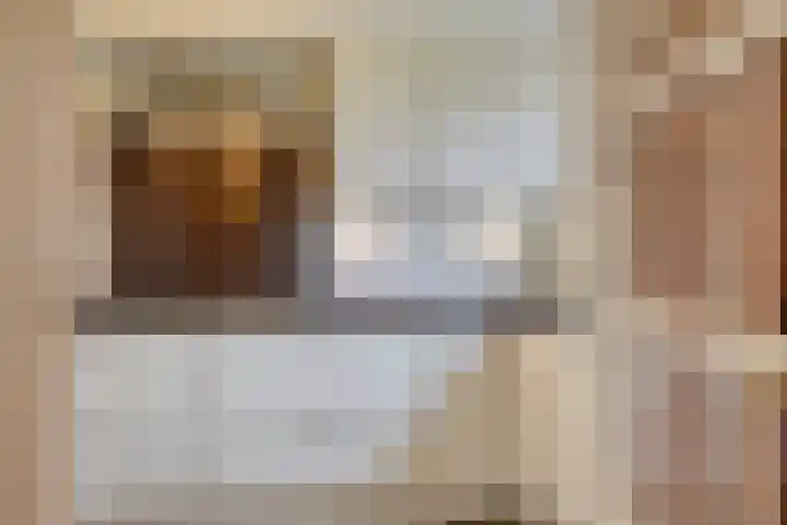 Schotakker 16 Epe thumbnail 14