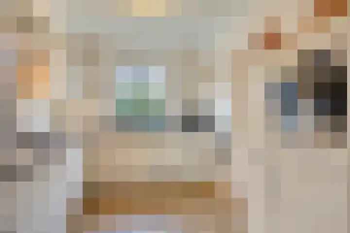 Schotakker 16 Epe thumbnail 15