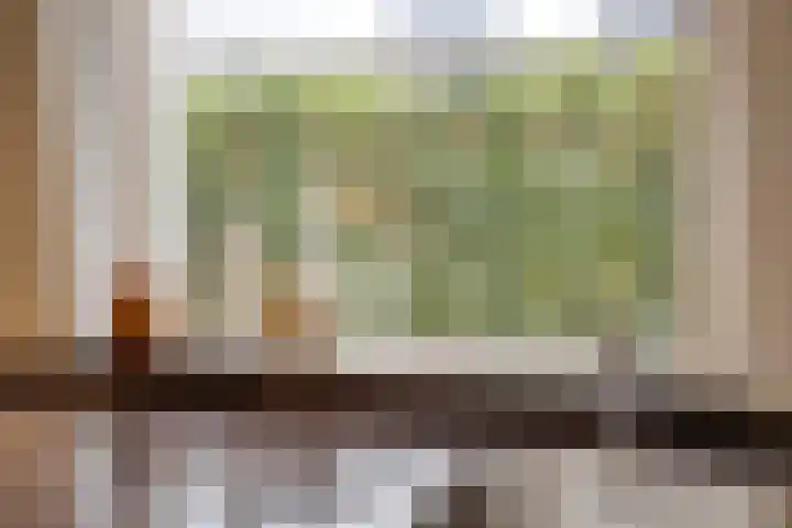 Schotakker 16 Epe thumbnail 17