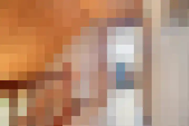 Schotakker 16 Epe thumbnail 23