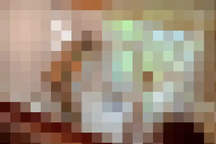 Schotakker 16 Epe thumbnail 24