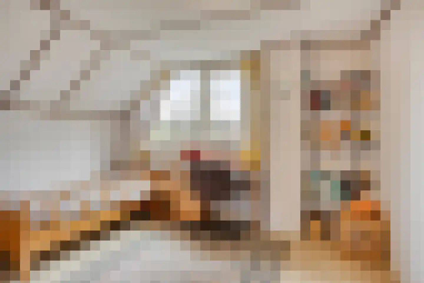 Schotakker 16 Epe thumbnail 25