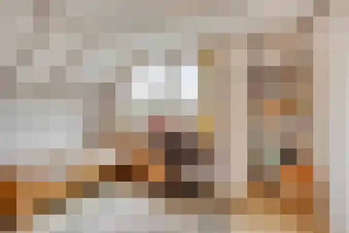 Schotakker 16 Epe thumbnail 25