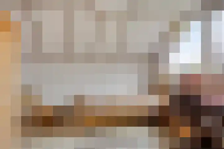 Schotakker 16 Epe thumbnail 26