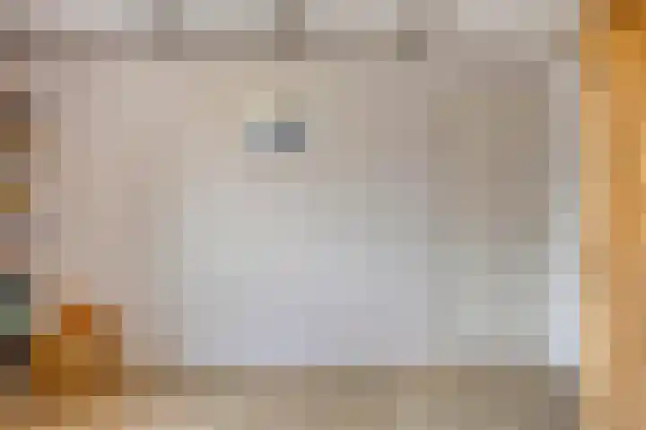 Schotakker 16 Epe thumbnail 27