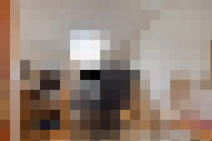 Schotakker 16 Epe thumbnail 28