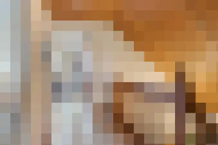 Schotakker 16 Epe thumbnail 29