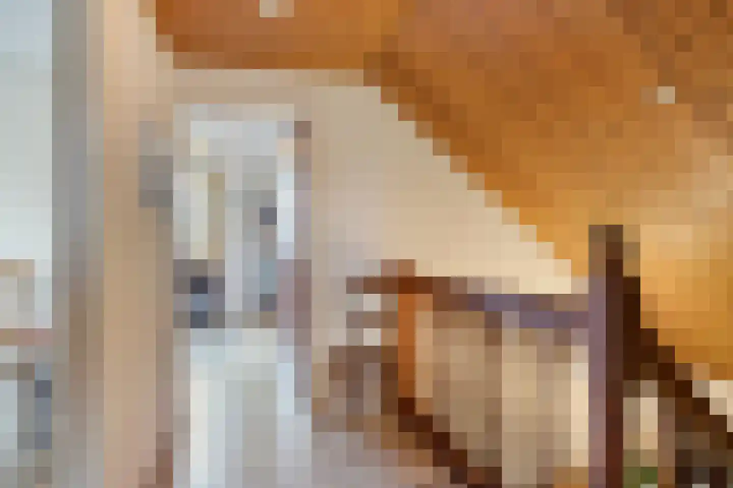 Schotakker 16 Epe thumbnail 29