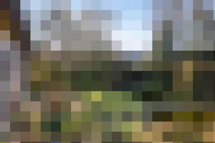 Schotakker 16 Epe thumbnail 33