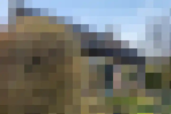 Schotakker 16 Epe thumbnail 34