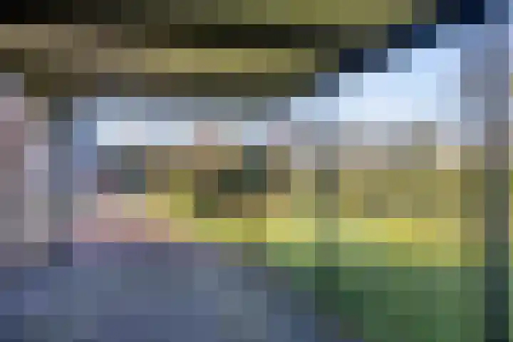 Schotakker 16 Epe thumbnail 36