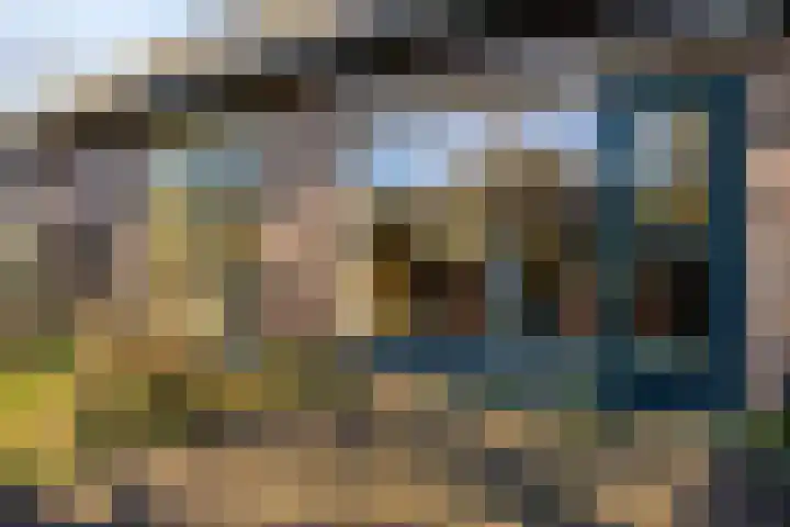 Schotakker 16 Epe thumbnail 37