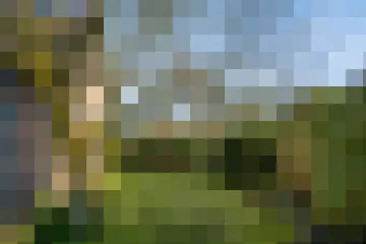 Schotakker 16 Epe thumbnail 39