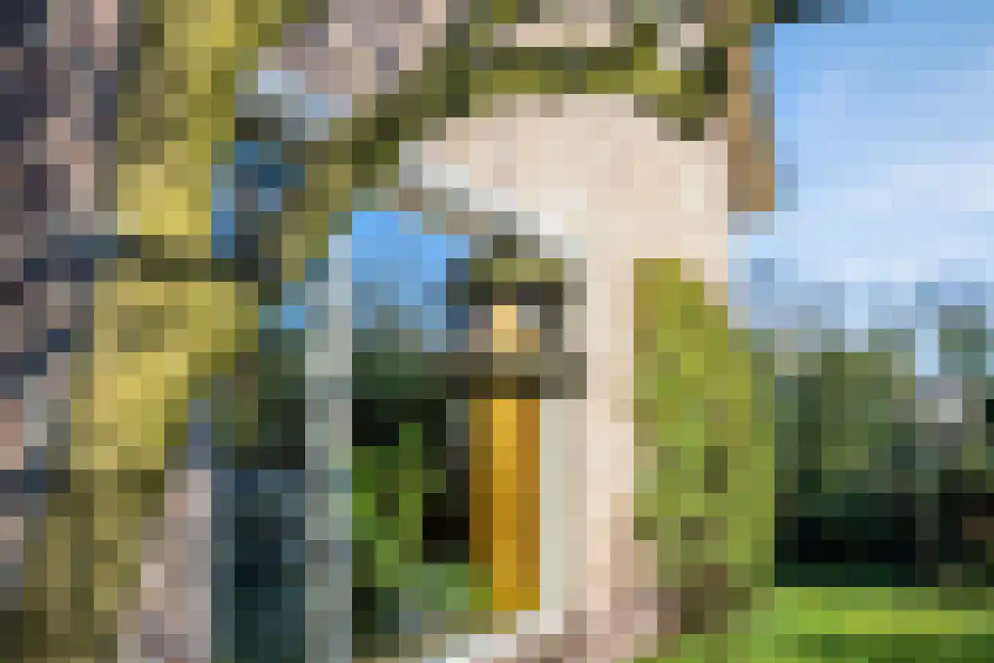 Schotakker 16 Epe thumbnail 40