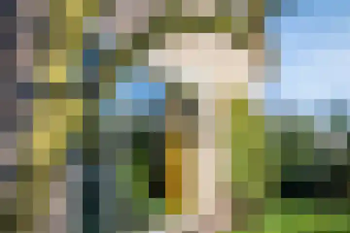 Schotakker 16 Epe thumbnail 40