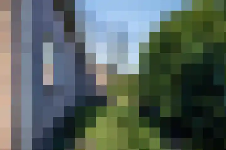 Schotakker 16 Epe thumbnail 41