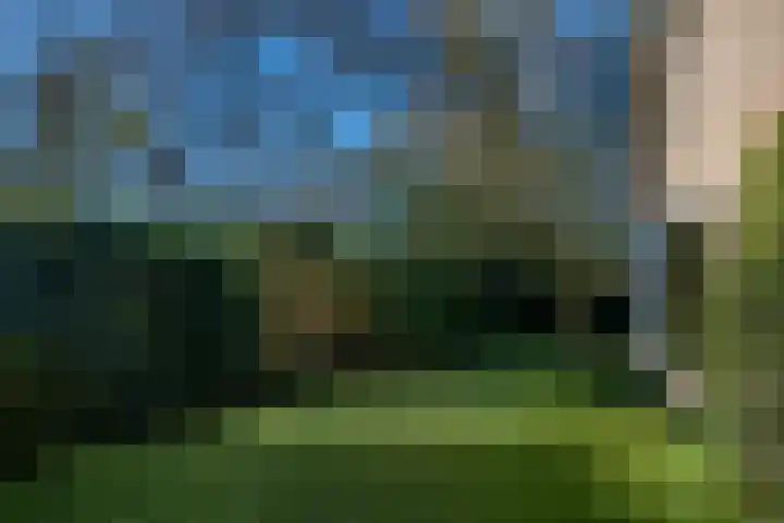 Schotakker 16 Epe thumbnail 42