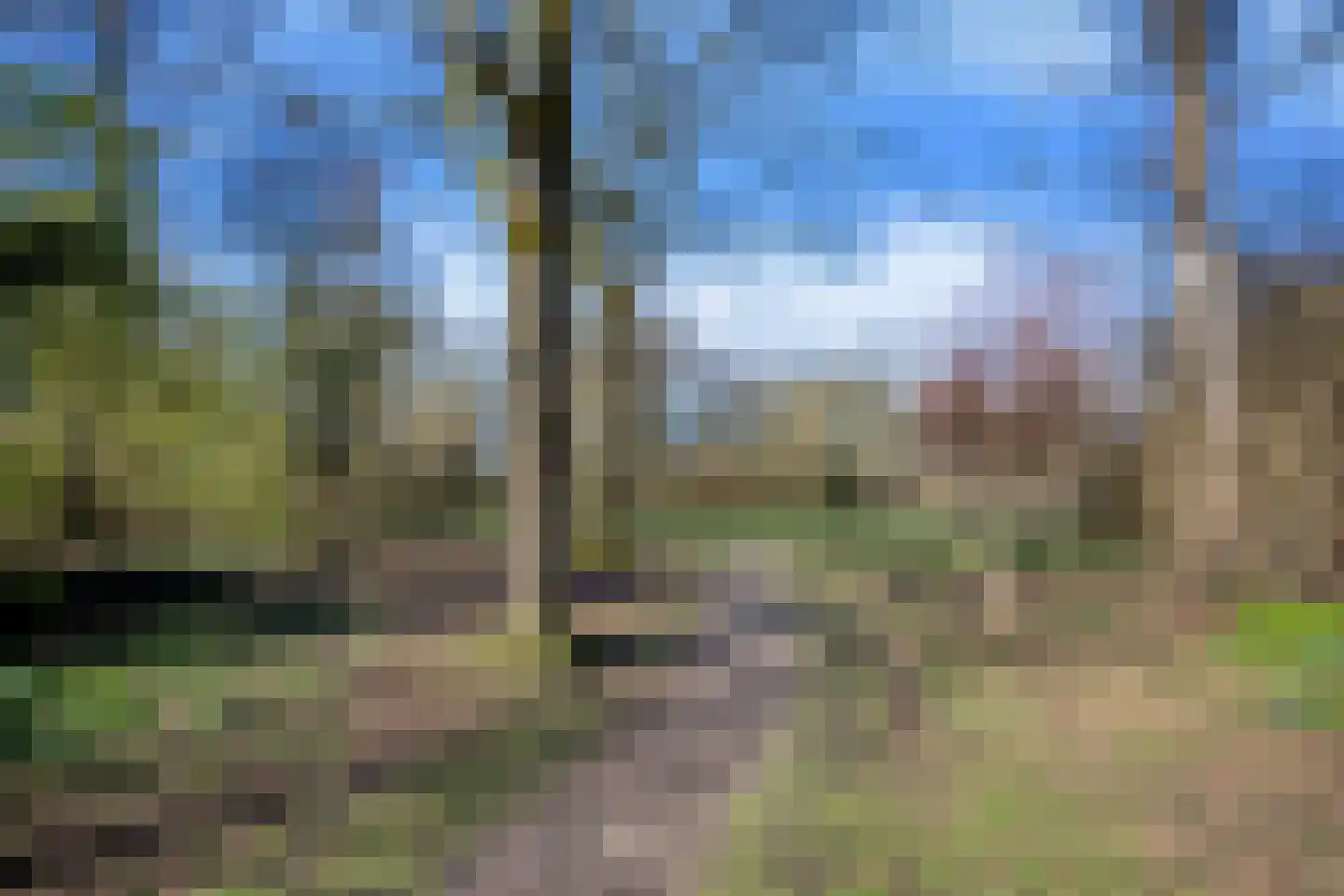 Schotakker 16 Epe thumbnail 43