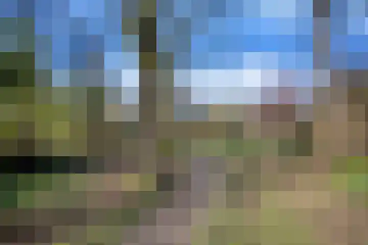 Schotakker 16 Epe thumbnail 43