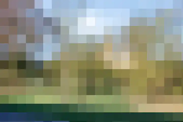 Schotakker 16 Epe thumbnail 45