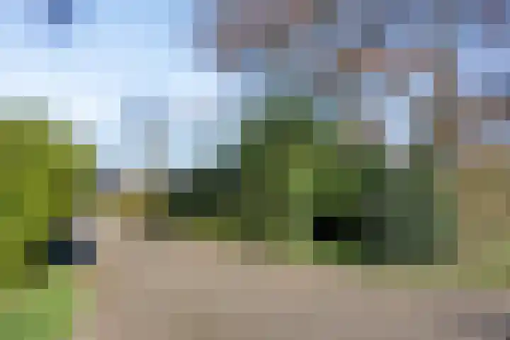 Schotakker 16 Epe thumbnail 46