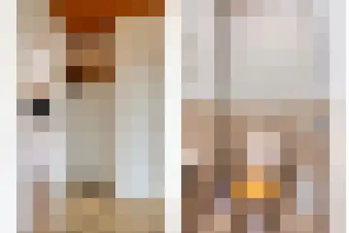 Schotakker 16 Epe thumbnail 5
