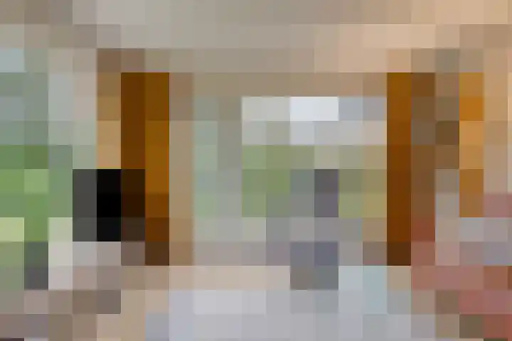 Schotakker 16 Epe thumbnail 7