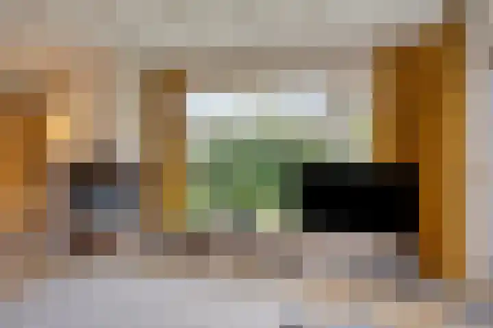Schotakker 16 Epe thumbnail 8
