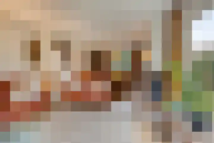 Schotakker 16 Epe thumbnail 9