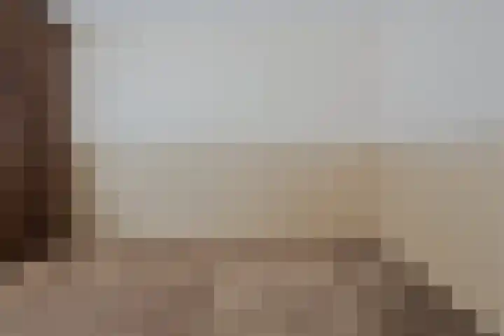 Schotbalk 25 Urk thumbnail 12