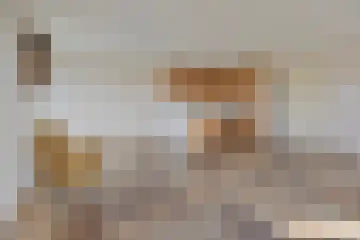 Schotbalk 25 Urk thumbnail 16