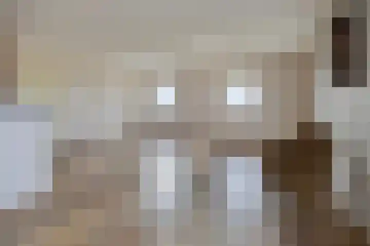 Schotbalk 25 Urk thumbnail 17