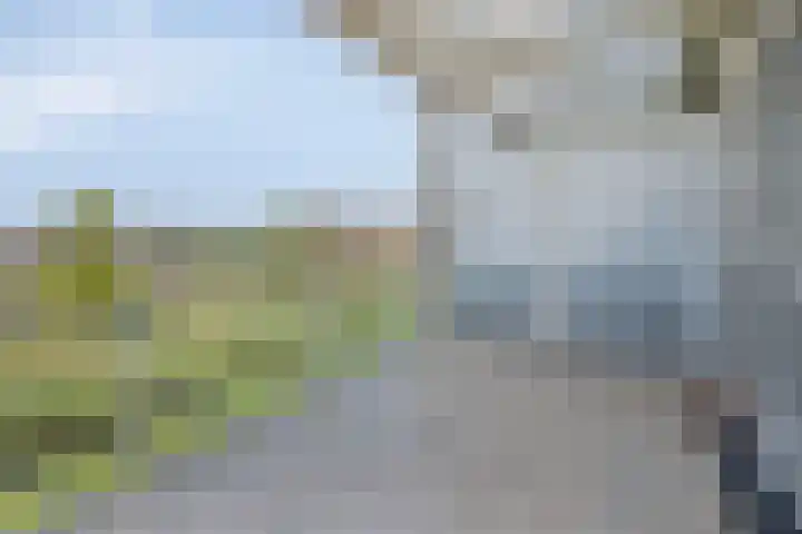 Schotbalk 25 Urk thumbnail 21