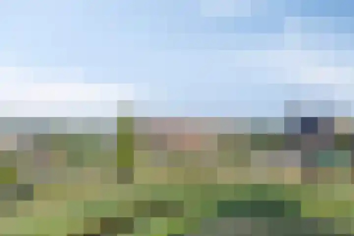 Schotbalk 25 Urk thumbnail 22