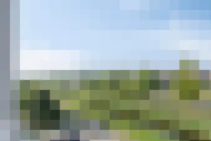 Schotbalk 25 Urk thumbnail 23